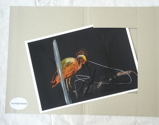 Tina Ribarits. London Zoo Ibis