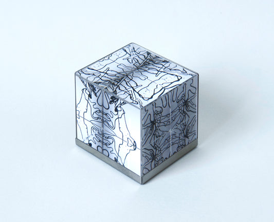 Snow Crystal: Art Work By Catherine Ludwig