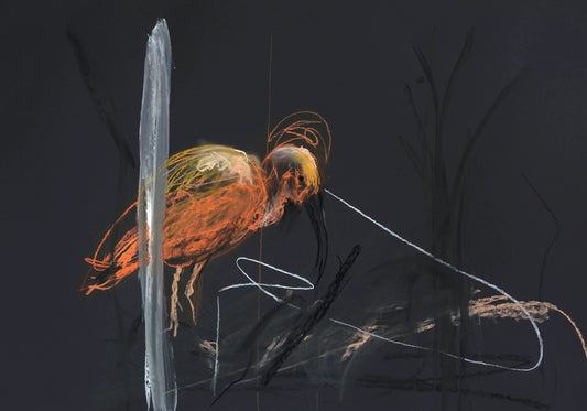 Tina Ribarits. London Zoo Ibis